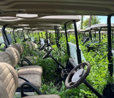 Row of retired fleet golf carts sitting in overgrown brush
