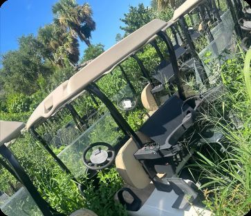 Electric golf cart overgrown with weeds after sitting outside since a storm